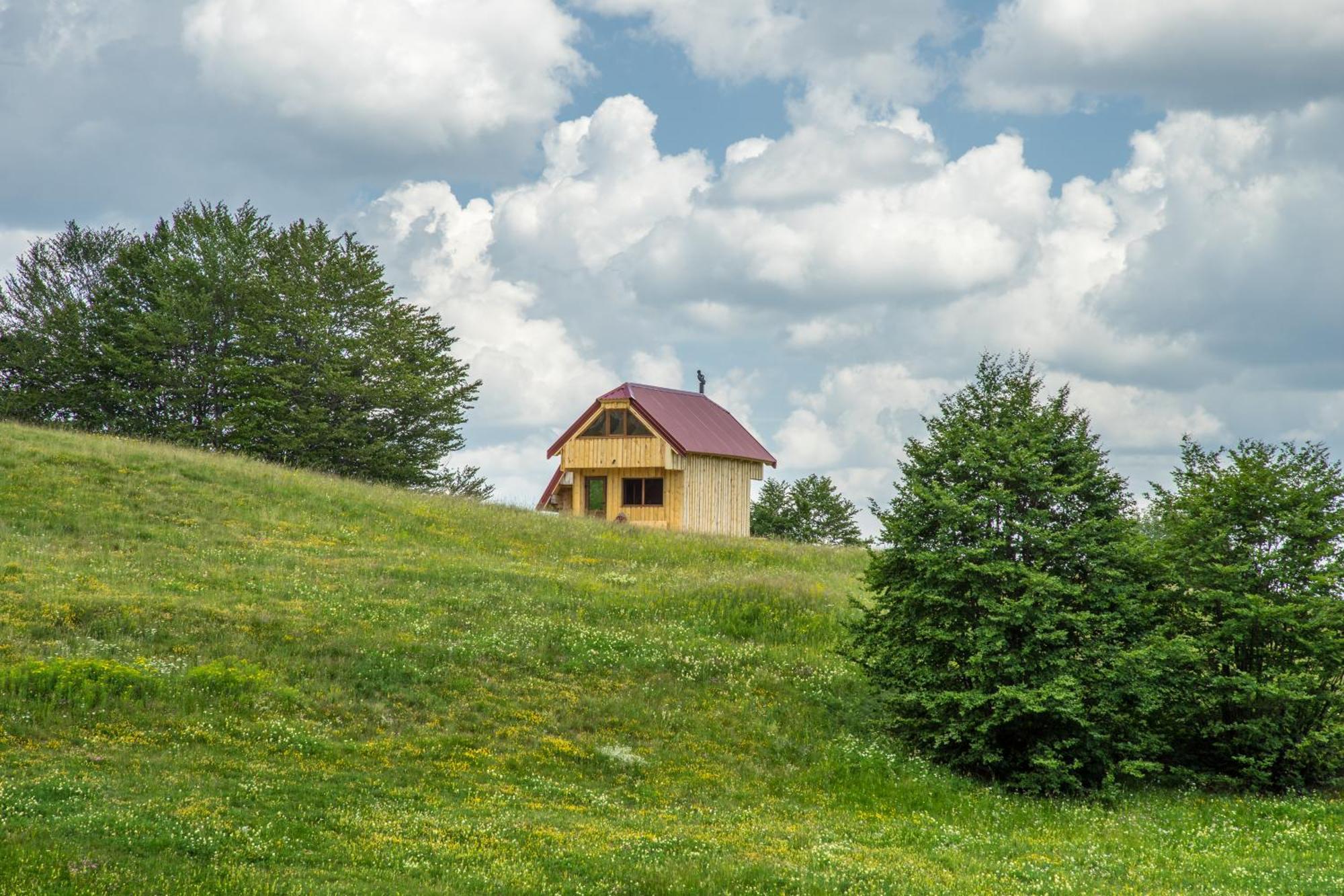 Maple Village Žabljak Pokoj fotografie