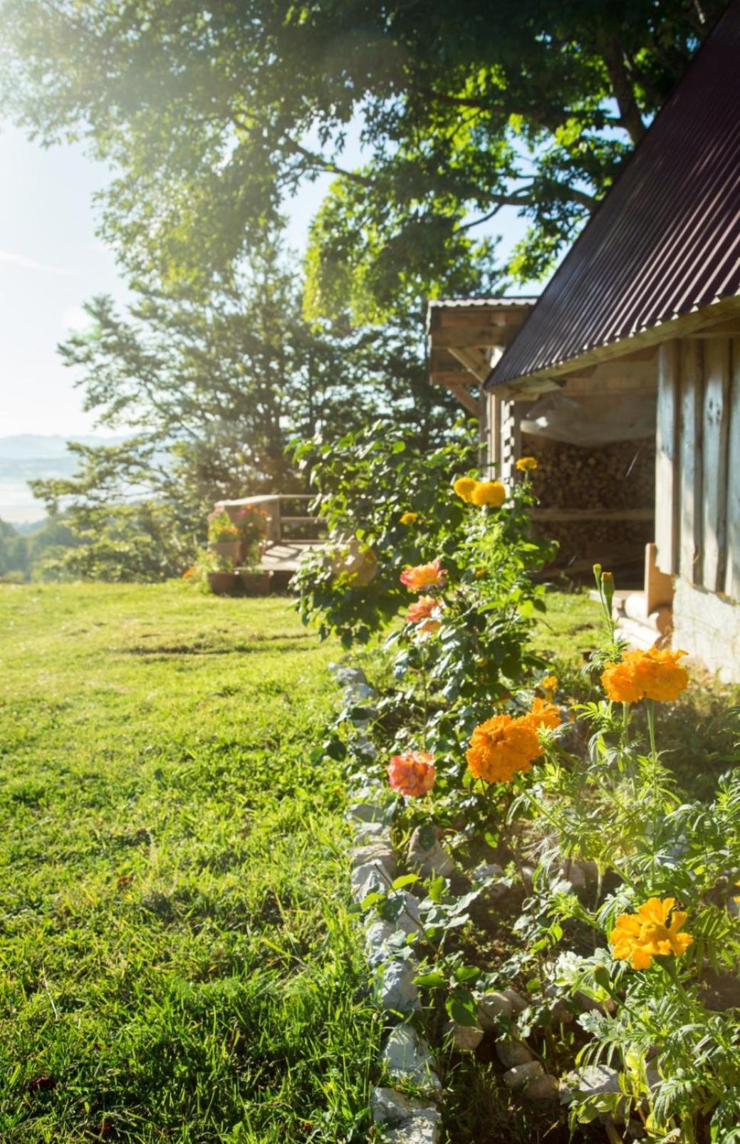 Maple Village Žabljak Exteriér fotografie