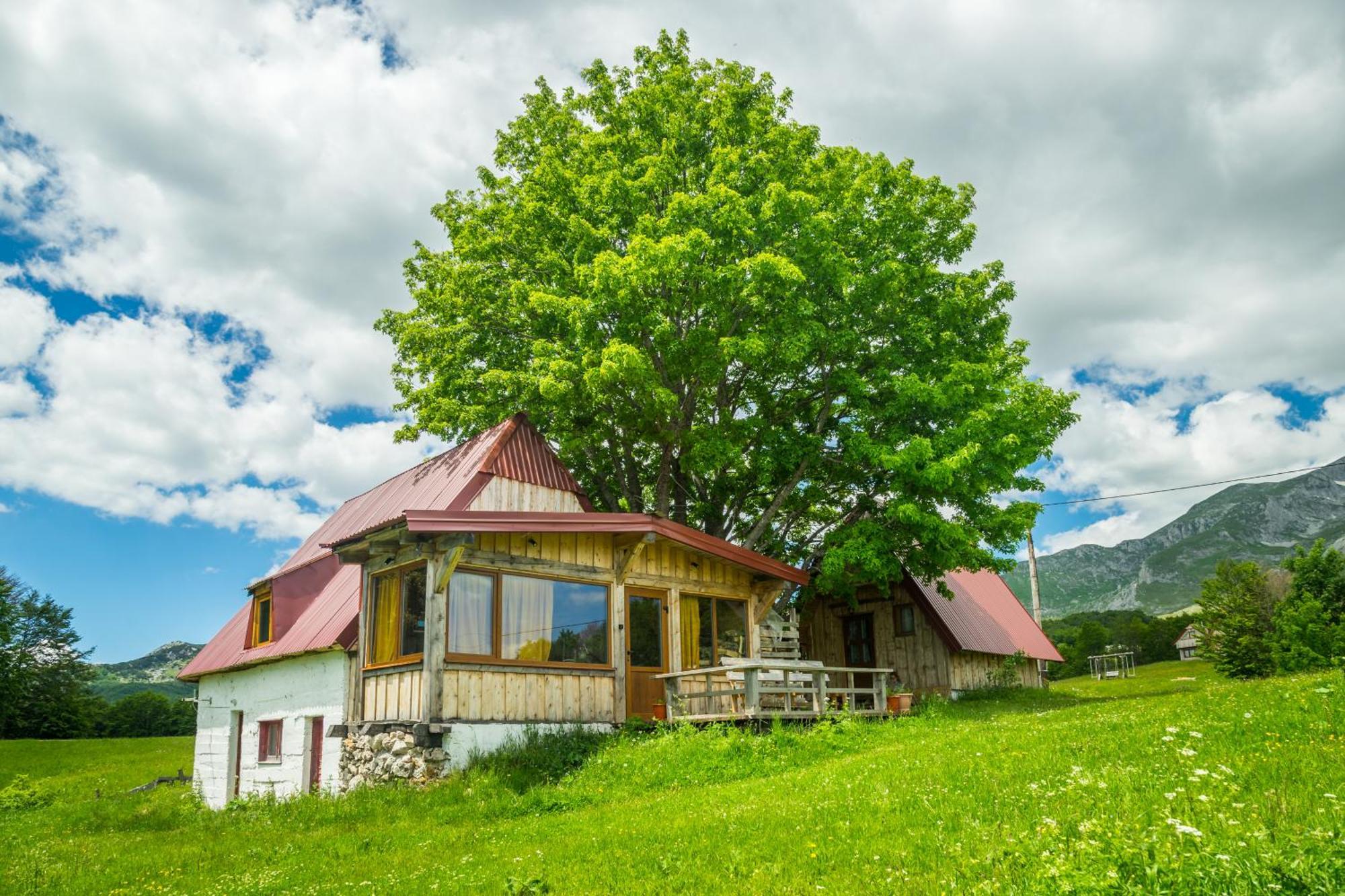 Maple Village Žabljak Exteriér fotografie