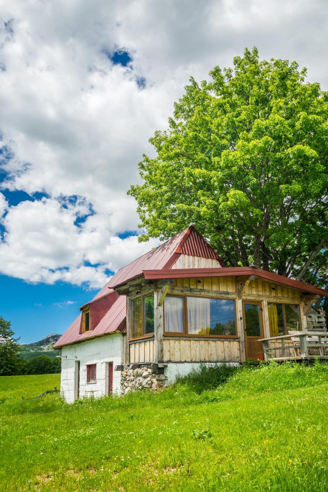 Maple Village Žabljak Exteriér fotografie