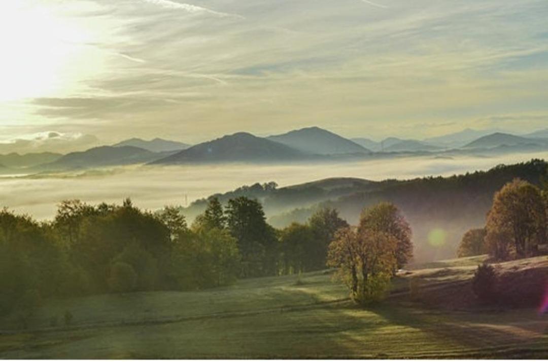 Maple Village Žabljak Exteriér fotografie