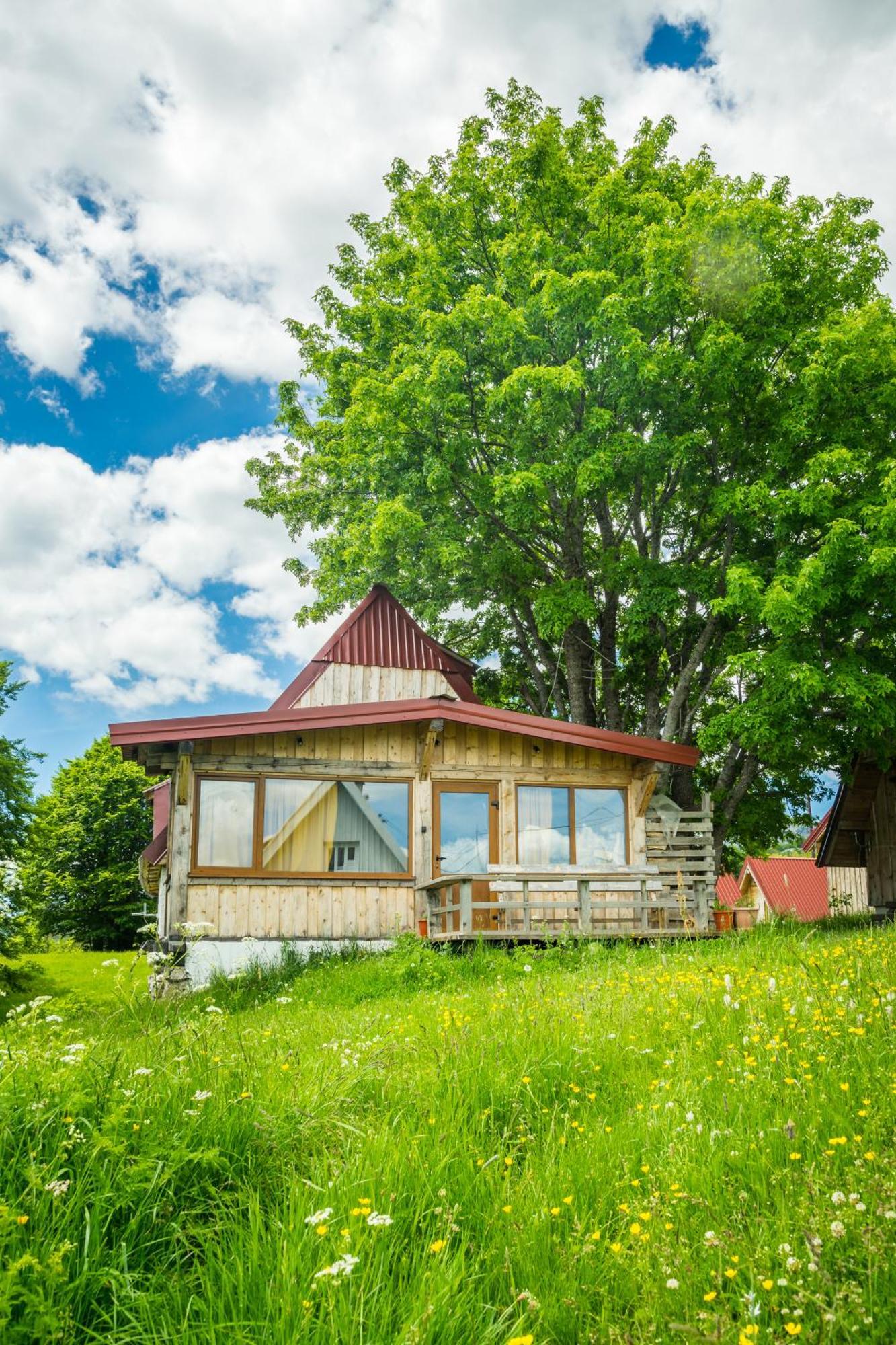 Maple Village Žabljak Exteriér fotografie